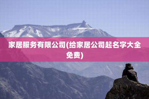 家居服务有限公司(给家居公司起名字大全免费)