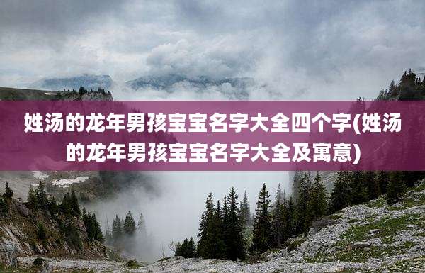 姓汤的龙年男孩宝宝名字大全四个字(姓汤的龙年男孩宝宝名字大全及寓意)