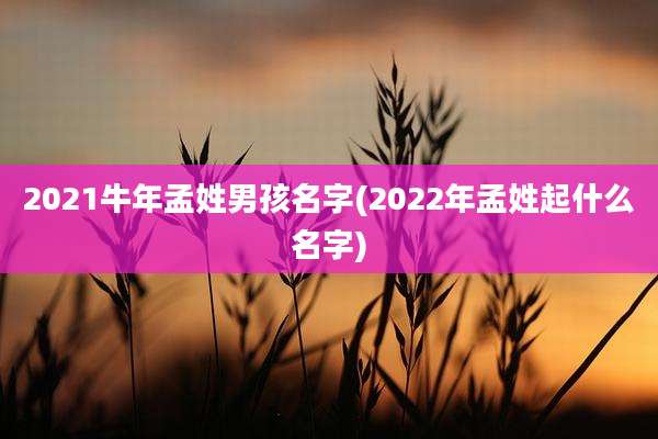 2021牛年孟姓男孩名字(2022年孟姓起什么名字)