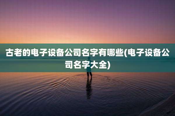 古老的电子设备公司名字有哪些(电子设备公司名字大全)