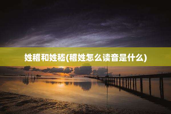 姓稽和姓嵇(稽姓怎么读音是什么)