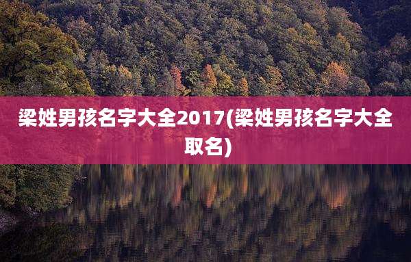 梁姓男孩名字大全2017(梁姓男孩名字大全 取名)