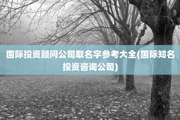 国际投资顾问公司取名字参考大全(国际知名投资咨询公司)