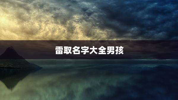 雷取名字大全男孩