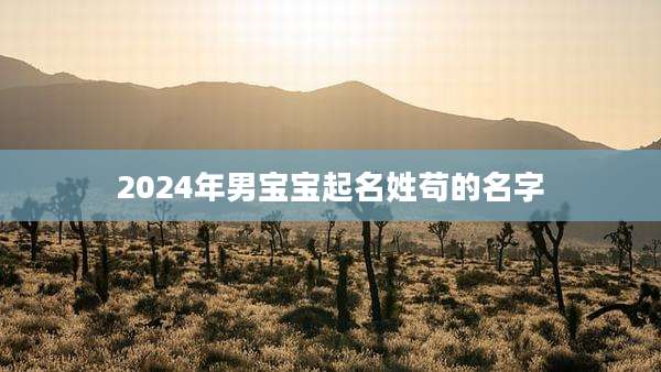 2024年男宝宝起名姓苟的名字