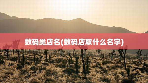 数码类店名(数码店取什么名字)