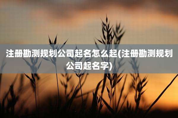 注册勘测规划公司起名怎么起(注册勘测规划公司起名字)