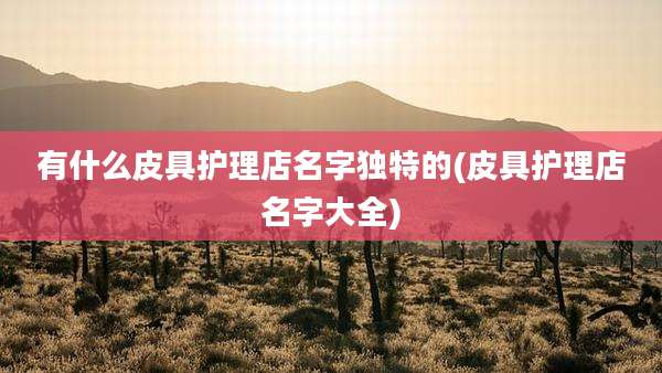 有什么皮具护理店名字独特的(皮具护理店名字大全)