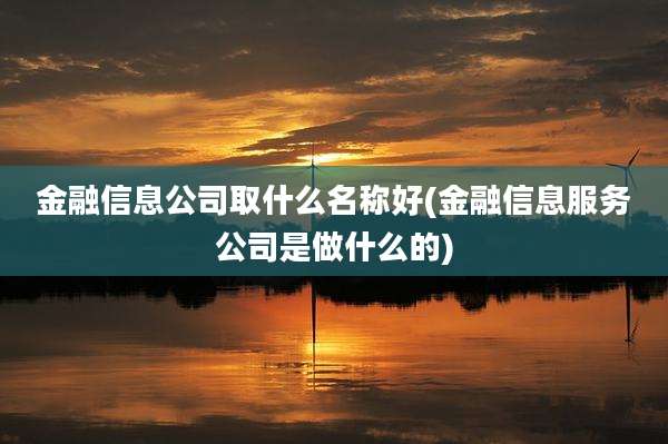 金融信息公司取什么名称好(金融信息服务公司是做什么的)