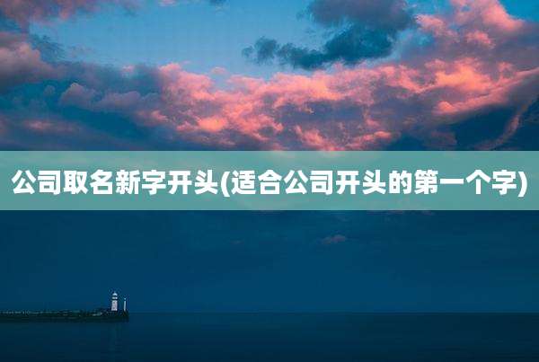 公司取名新字开头(适合公司开头的第一个字)