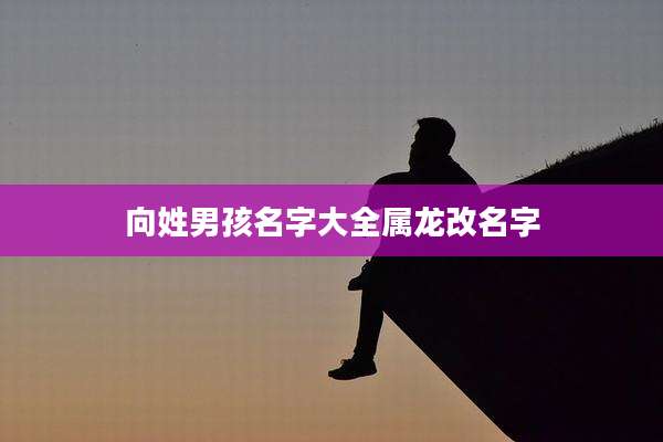 向姓男孩名字大全属龙改名字