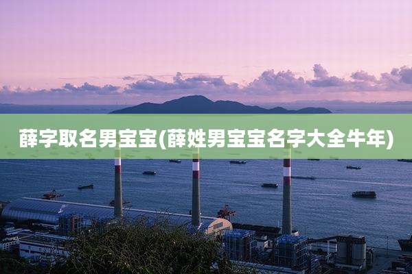 薛字取名男宝宝(薛姓男宝宝名字大全牛年)