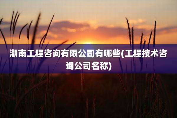 湖南工程咨询有限公司有哪些(工程技术咨询公司名称)