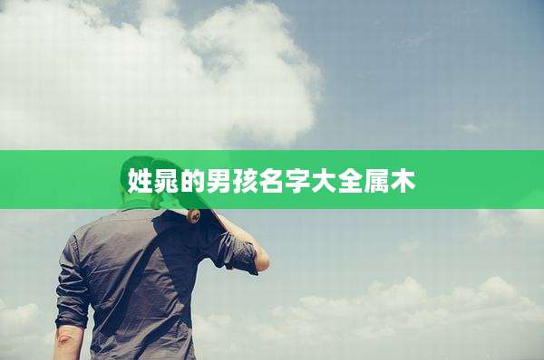 姓晁的男孩名字大全属木