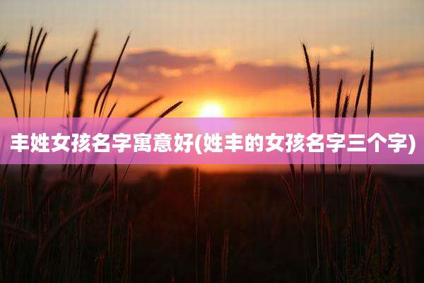 丰姓女孩名字寓意好(姓丰的女孩名字三个字)