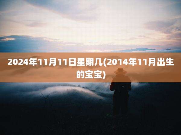 2024年11月11日星期几(2014年11月出生的宝宝)
