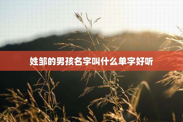 姓邹的男孩名字叫什么单字好听