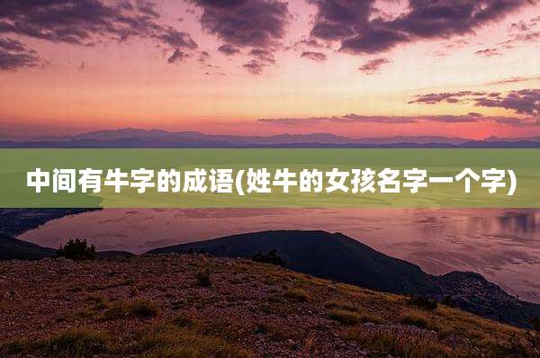 中间有牛字的成语(姓牛的女孩名字一个字)