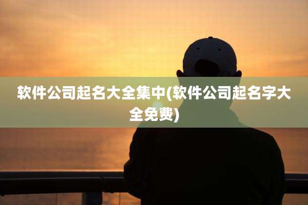 软件公司起名大全集中(软件公司起名字大全免费)