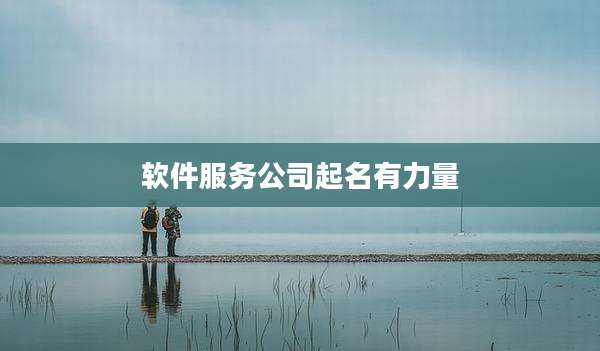 软件服务公司起名有力量