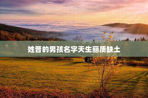姓晋的男孩名字天生丽质缺土