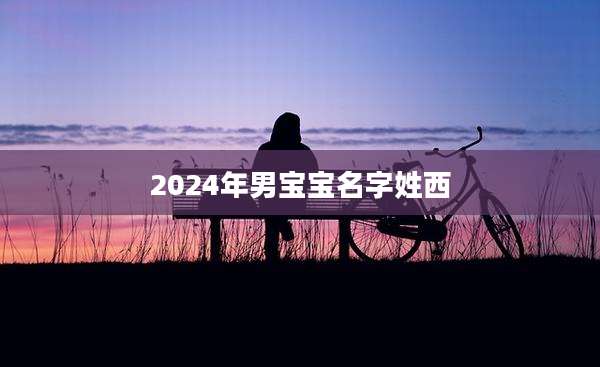 2024年男宝宝名字姓西