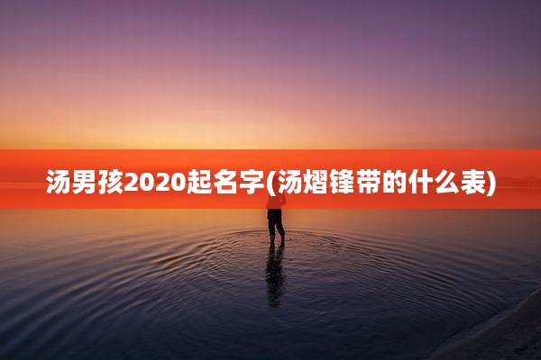 汤男孩2020起名字(汤熠锋带的什么表)