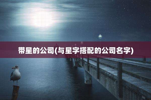 带星的公司(与星字搭配的公司名字)