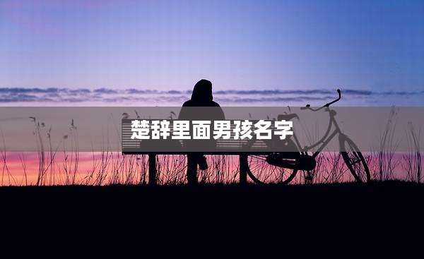 楚辞里面男孩名字