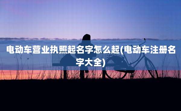 电动车营业执照起名字怎么起(电动车注册名字大全)