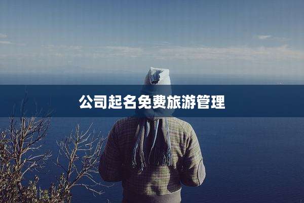 公司起名免费旅游管理