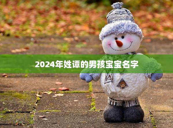 2024年姓谭的男孩宝宝名字