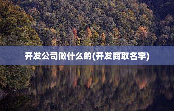 开发公司做什么的(开发商取名字)