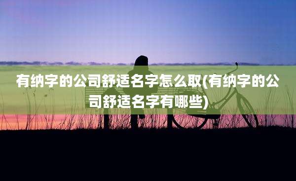 有纳字的公司舒适名字怎么取(有纳字的公司舒适名字有哪些)