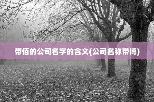 带佰的公司名字的含义(公司名称带博)