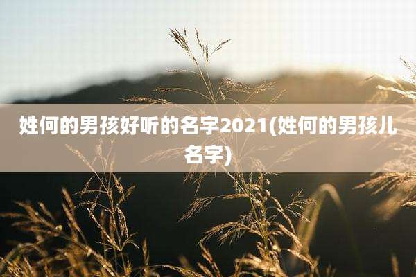 姓何的男孩好听的名字2021(姓何的男孩儿名字)