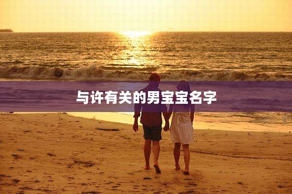 与许有关的男宝宝名字