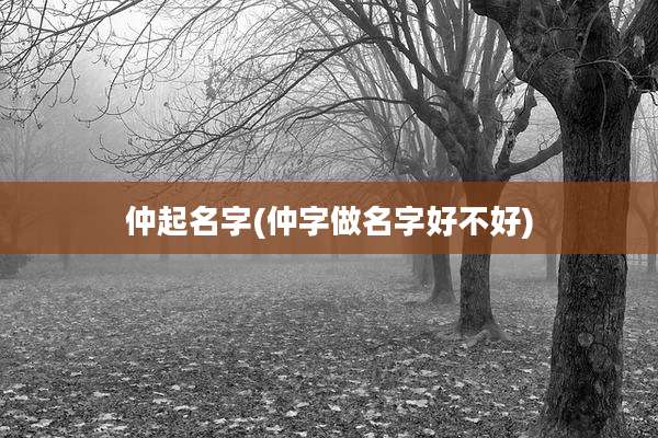 仲起名字(仲字做名字好不好)