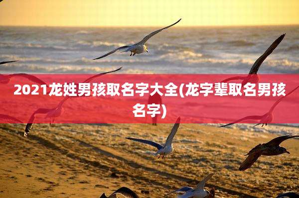 2021龙姓男孩取名字大全(龙字辈取名男孩名字)