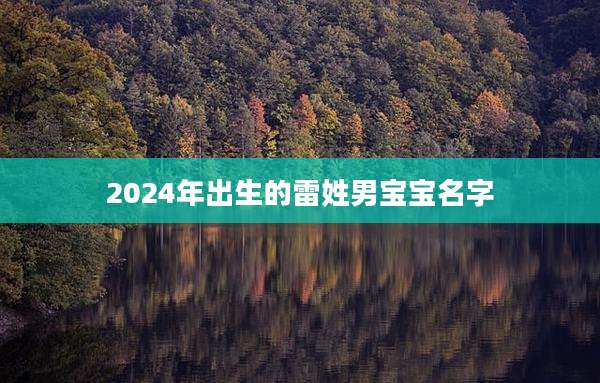 2024年出生的雷姓男宝宝名字