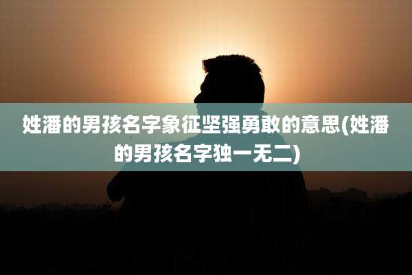 姓潘的男孩名字象征坚强勇敢的意思(姓潘的男孩名字独一无二)