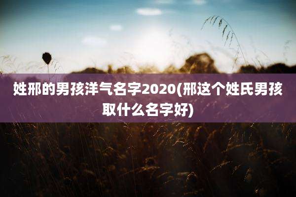 姓邢的男孩洋气名字2020(邢这个姓氏男孩取什么名字好)