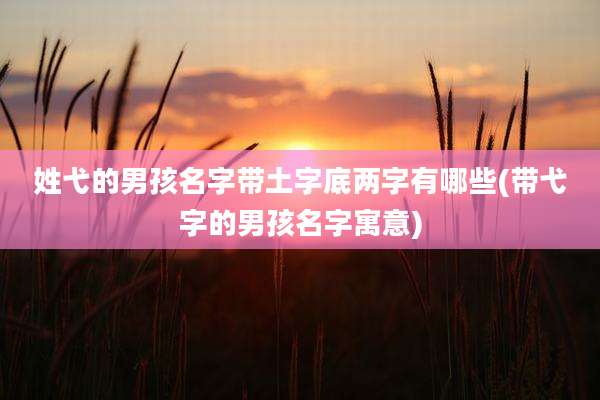 姓弋的男孩名字带土字底两字有哪些(带弋字的男孩名字寓意)
