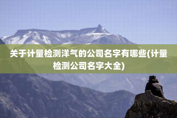 关于计量检测洋气的公司名字有哪些(计量检测公司名字大全)