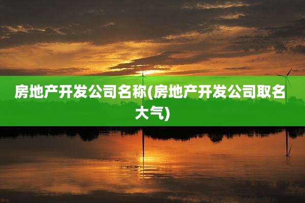 房地产开发公司名称(房地产开发公司取名 大气)