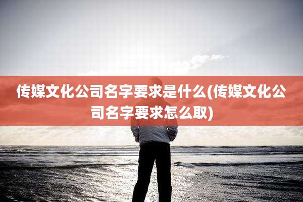传媒文化公司名字要求是什么(传媒文化公司名字要求怎么取)