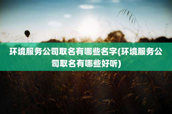 环境服务公司取名有哪些名字(环境服务公司取名有哪些好听)