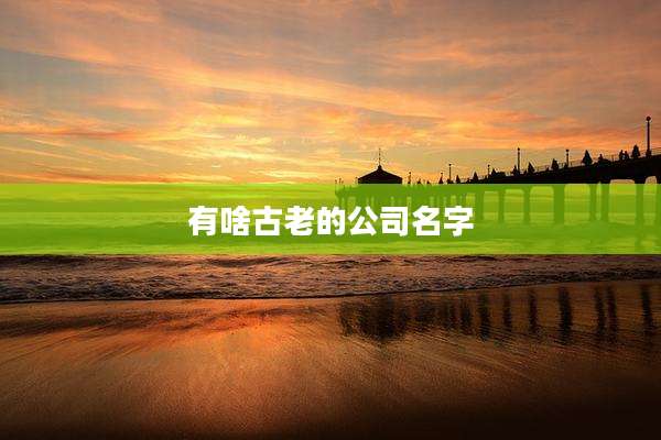 有啥古老的公司名字