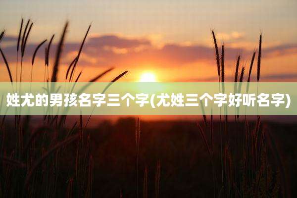 姓尤的男孩名字三个字(尤姓三个字好听名字)