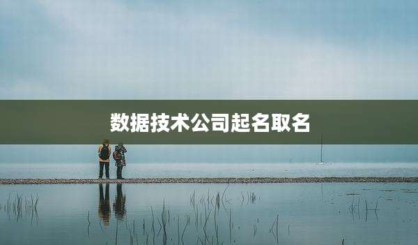数据技术公司起名取名